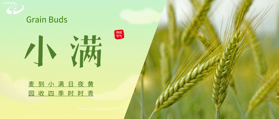 節氣 | 小滿
